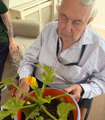 Elderly man tending to a potted plant with a yellow flower indoors.