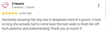 Positive review praising dog grooming service for patience and care.