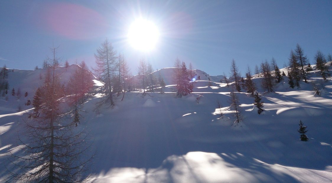 Lemuer's lifestyle just as salt seasons and preserves, and a lamp gives light to everyone around it.