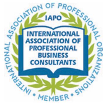Qualified business consultant