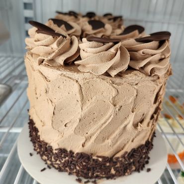 Chocolate cake with chocolate icing and chocolate sprinkles.