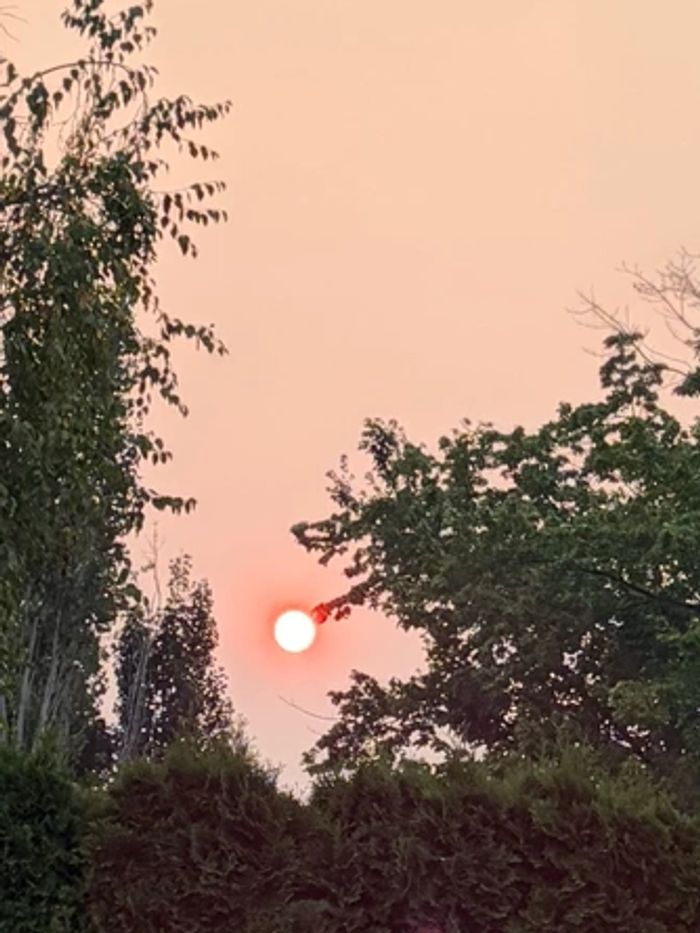 The sun, seen through thick wildfire smoke, westerly