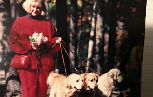 Mom with her Golden Retievers, Stryker, Monte and Bailey.