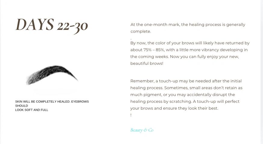 Eyebrow healing after 22-30 days: brows fully healed, soft, and full with 75%-85% color retention