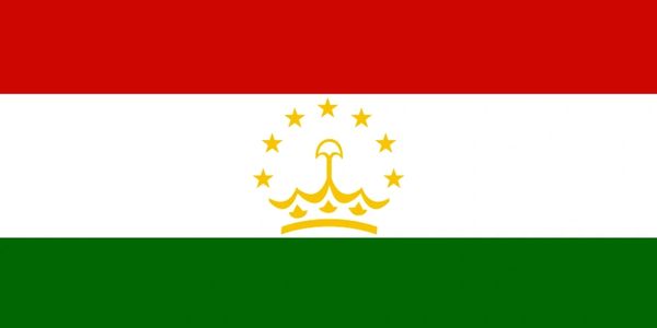 Export/Import Tajikistan, RG Trading