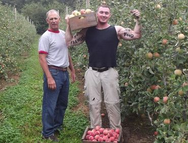 A picture of two men carrying a crate of apples