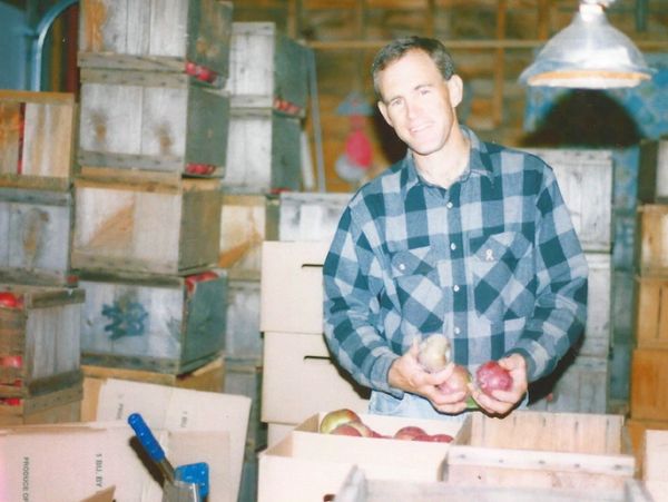 Man picking the apples from the wooden box