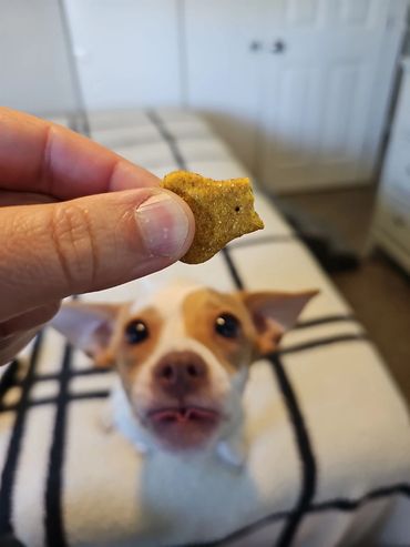 Great for traing too!