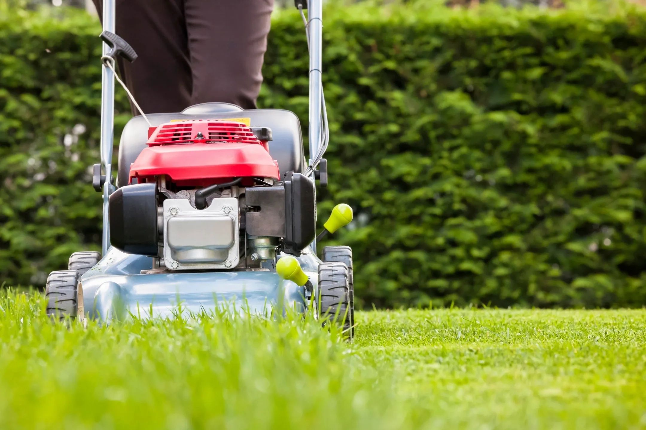 Budget lawn mowing hotsell