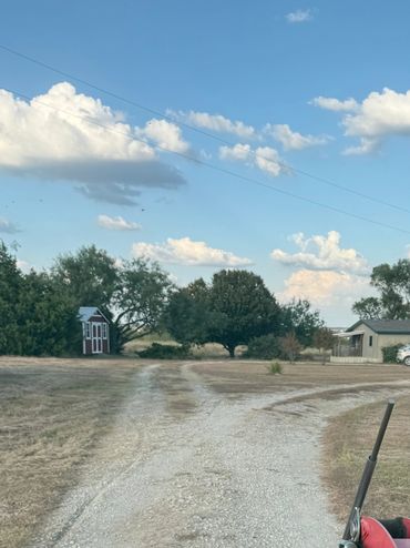 Driveway is compacted and has grass growing on the middle of the drive.