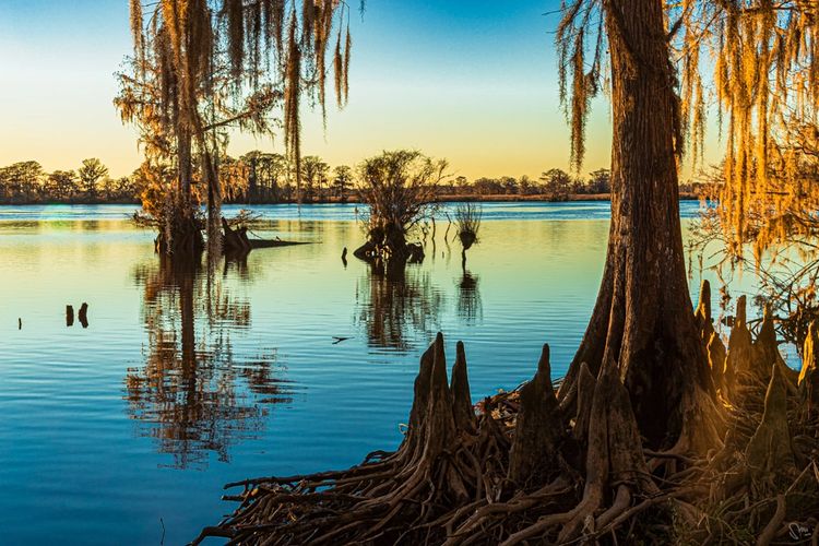 Waccamaw River Sunset January 2022
