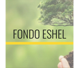 Fondo Noájida de Tzedaká