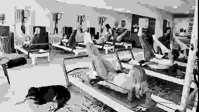 Pilates Reformer class. All classes limited to 4 clients to ensure personal attention.