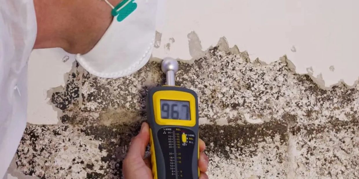 Person measuring mold on wall with device.