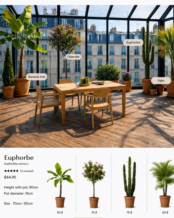 Indoor garden with labeled plants and a wooden dining set in a glass room.