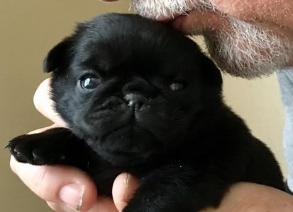 Daddy kissing little Juliet at 3 weeks and 1 day old!