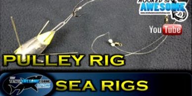 3 hook Professionally 2 hook clippped Tied Rigs Qty 5 £12.99