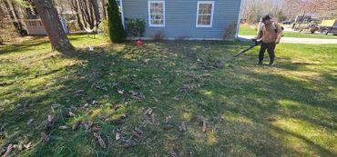 Spring clean up