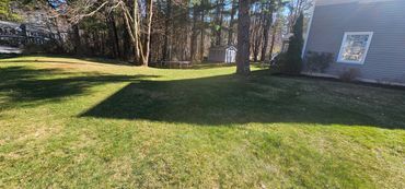 Yard maintenance