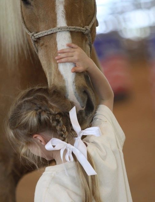 Equine assisted therapy horse and child