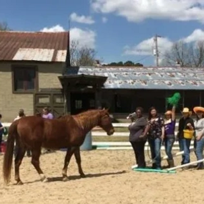 Group of people with horse in CE workshop