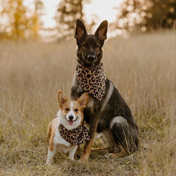 Soffia and her sister Ayda