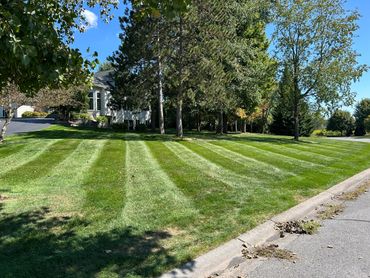 Well-manicured lawn with striped mowing pattern in a sunny suburban neighborhood.