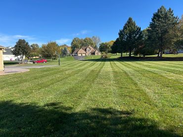 A wide, freshly mowed lawn leading to a suburban house under a clear blue sky.