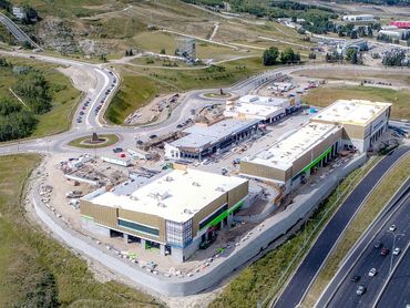 Copyright © Trinity Development Group