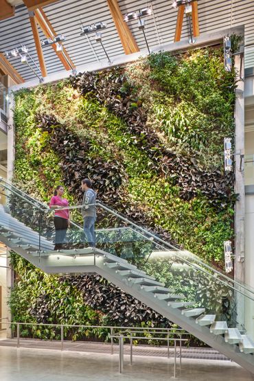 Copyright © B+H Architects