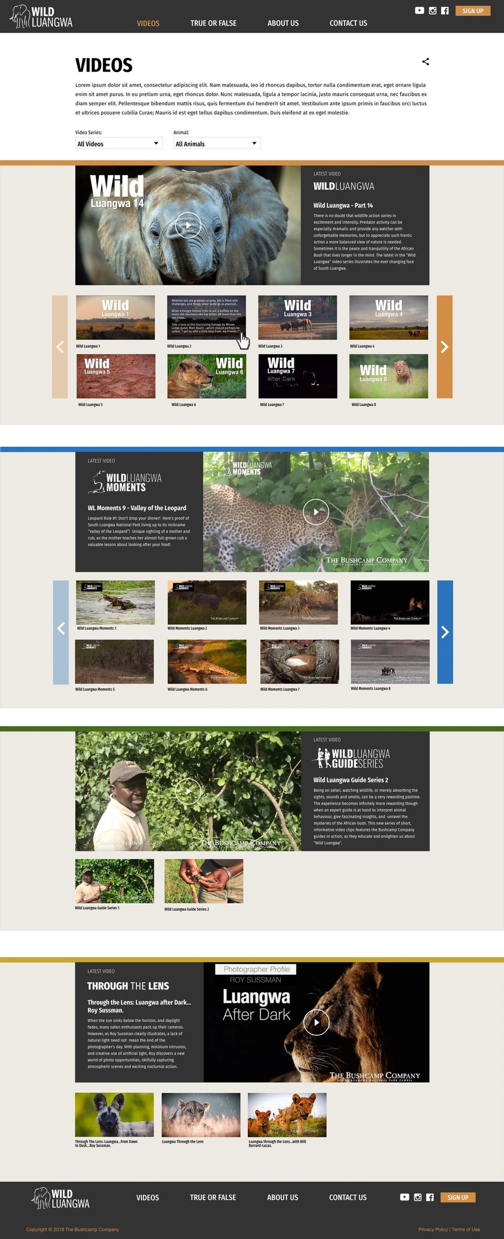 Videos of wildlife from series: Wild Luangwa, WL Moments, WL Guide, and Luangwa after dark