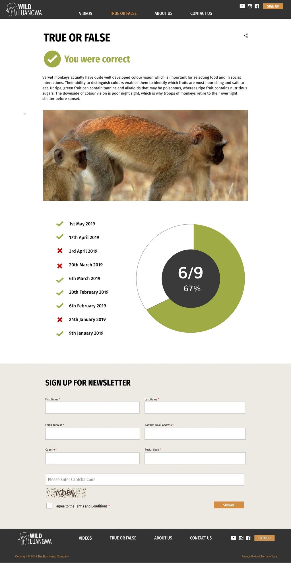 Photo of monkeys and elephants archived True/False newsletter. This shows the score and how you did.