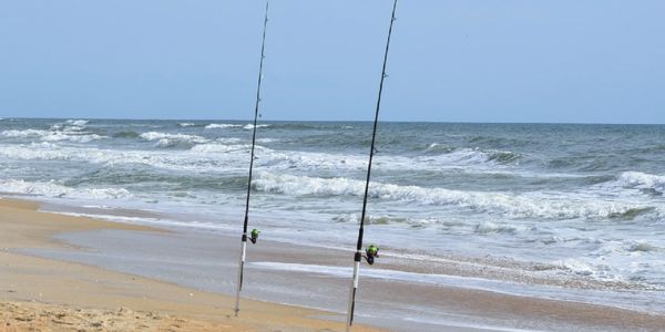 Lets surf fish!
Surf fishing set available. 
It sure beats a day at work, thronging you line out and
