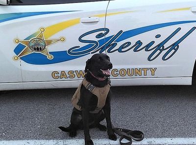 K9 Unit Cassie!