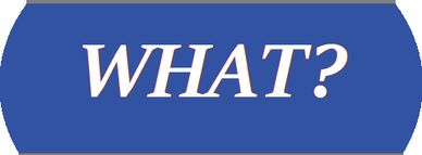 what is a house inspection