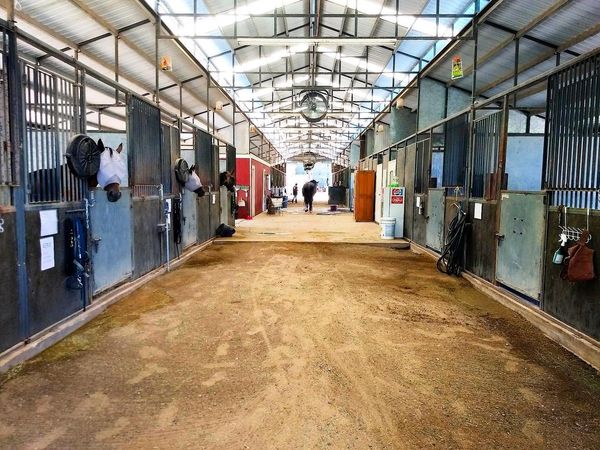 Indoor Horse Boarding Barn