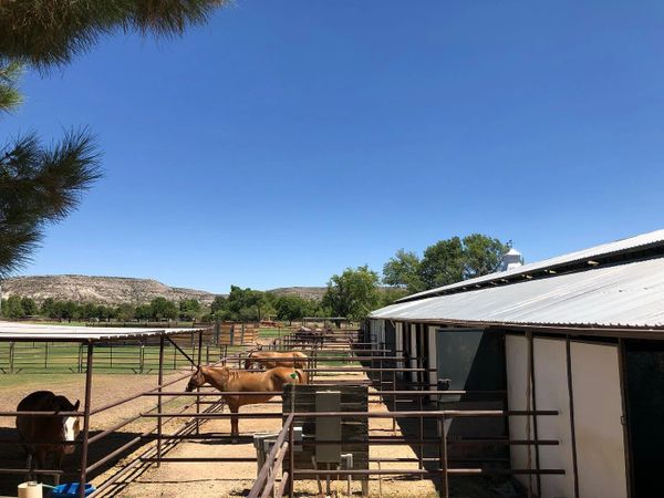Attached outdoor runs on large indoor horse boarding barn