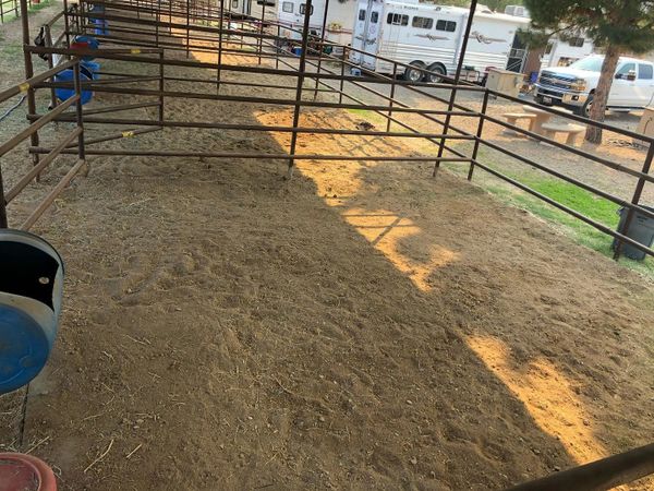 Outdoor Oversized Covered Horse Boarding Stalls