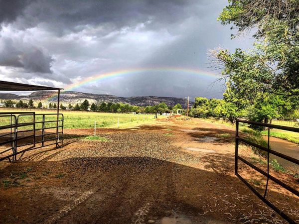 Barn Horse Boarding Daily Pasture Turnout Fields