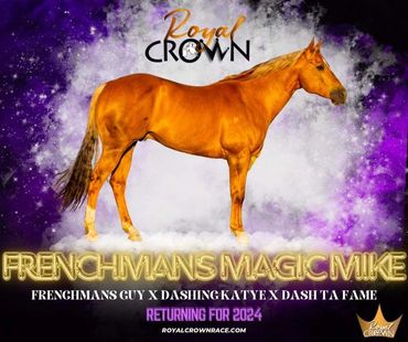 Brown horse, "Frenchmans Magic Mike," stands against a vibrant purple galaxy backdrop
