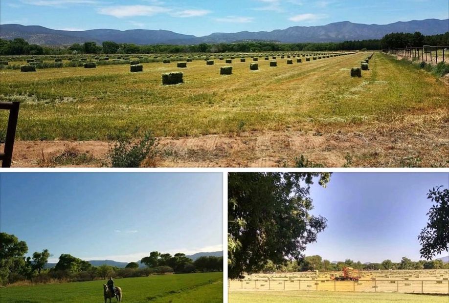 Hay Sales Northern Arizona Camp Verde Teff Bermuda Alfalfa