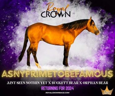Royal CROWN ASNYPRIMETOREDAMOUS