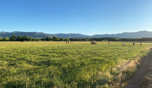 Pasture Boarding Green Fields