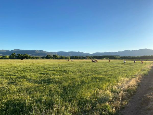 Pasture Boarding Northern Arizona on Hay Fields