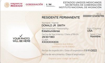 PERMANENT MEXICO RESIDENT CARD SAMPLE