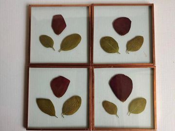 Rose - Periwinkle Coaster