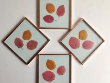 Bougainvillea Coaster - Orange & Pink