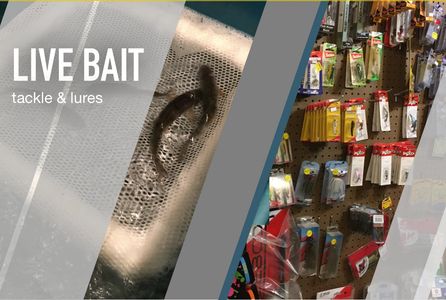 Located on Chateaugay Lake, we provide live bait, full line of tackle & lures for year round fishing