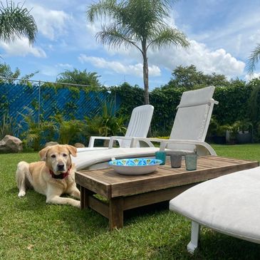 Renta una casa vacacional en Tequesquitengo con alberca lugar ideal para disfrutar de vacaciones