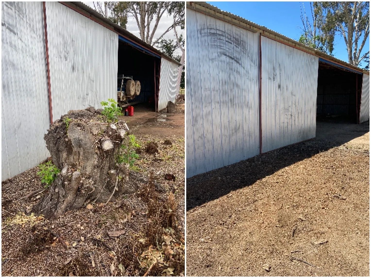 Before and After Stump Removal